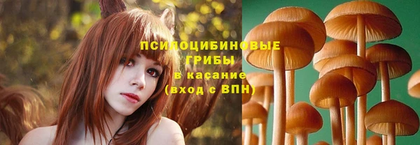 бошки Балахна