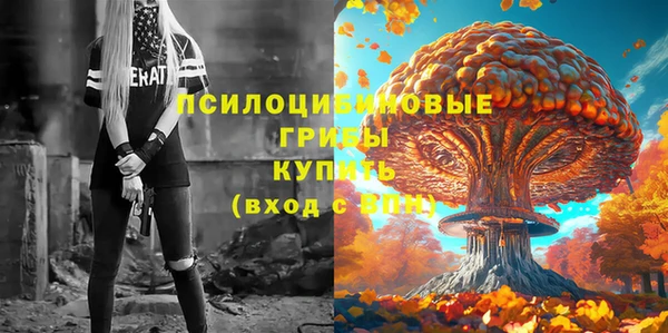 бошки Балахна